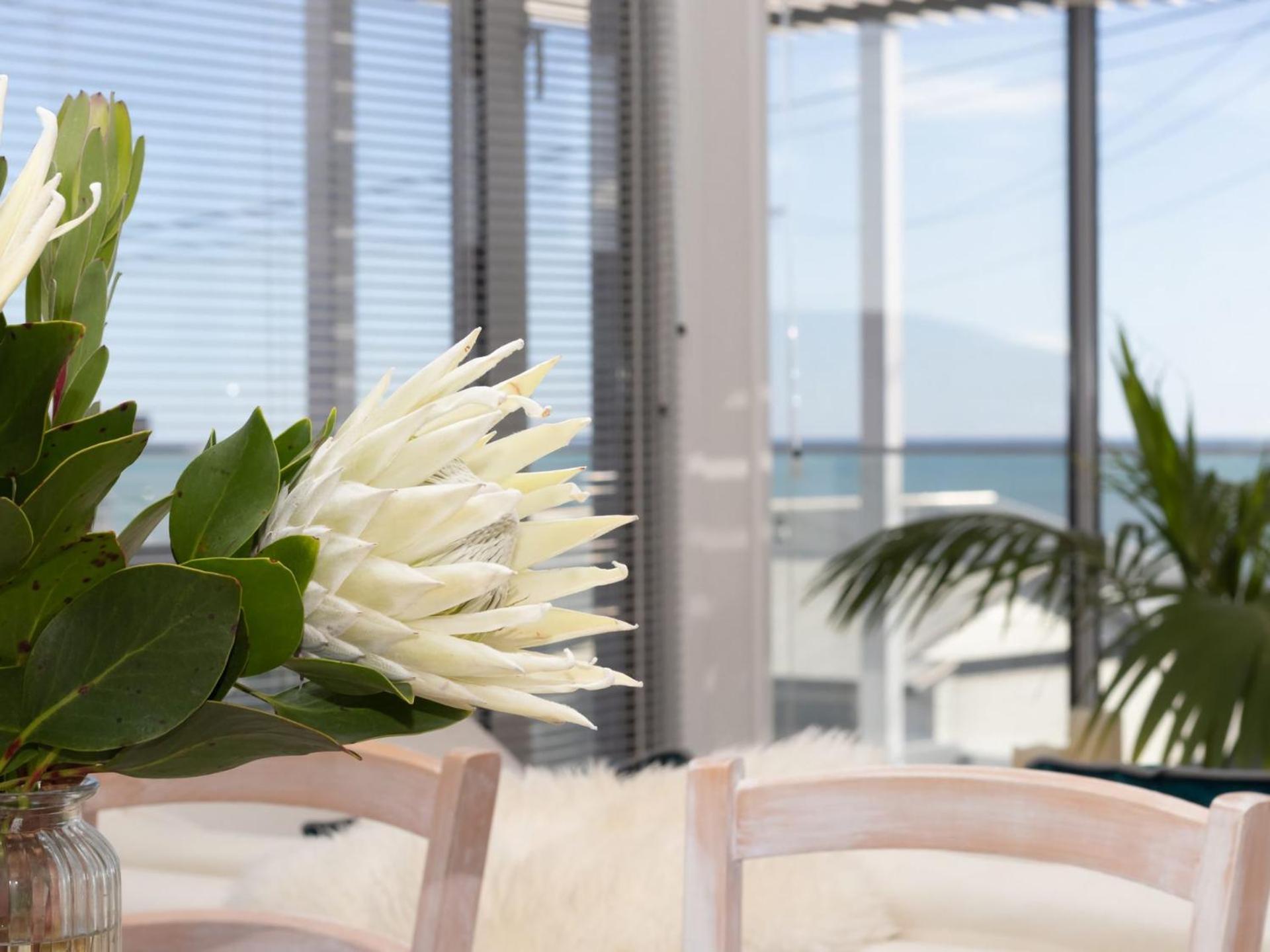 The Ocean Outlook - Pure Luxury Accommodation New Plymouth Dış mekan fotoğraf